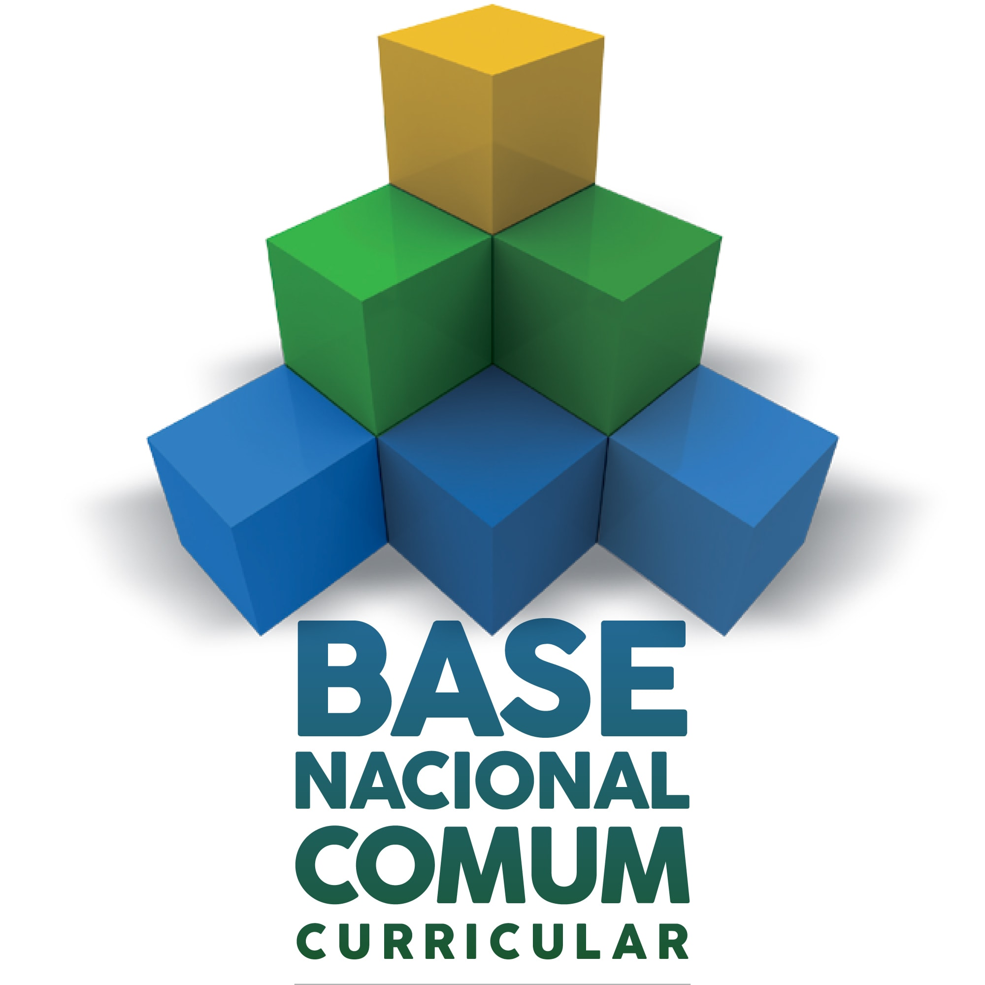 Base Nacional Comum Curricular (BNCC)