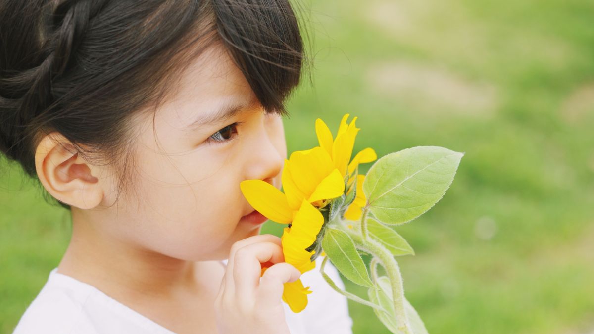 Atividades sensoriais