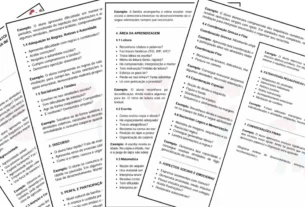 relatório individual escolar